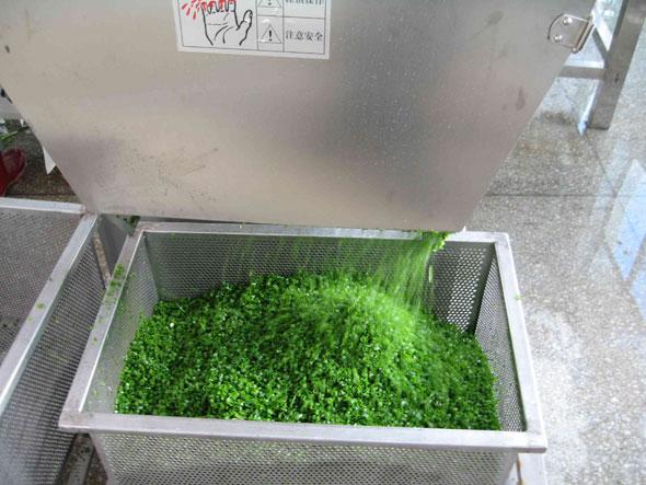 蒜粉生产